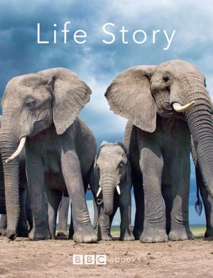 История жизни 1 сезон (2014)