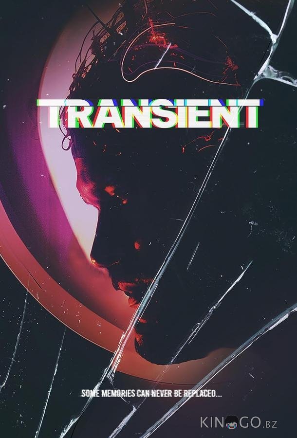 Переходный процесс (2024)